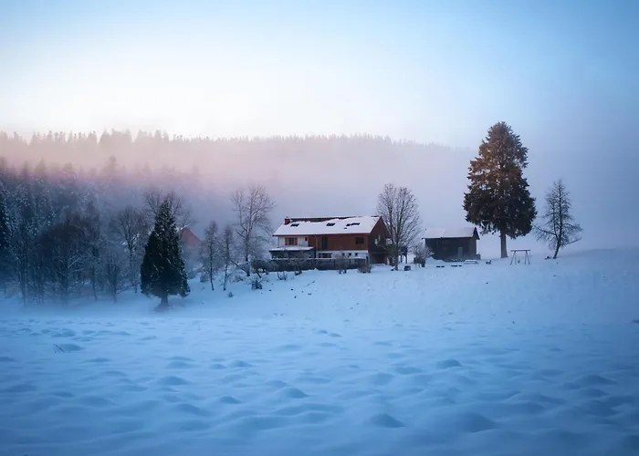 La Ramee * Ban-sur-Meurthe-Clefcy