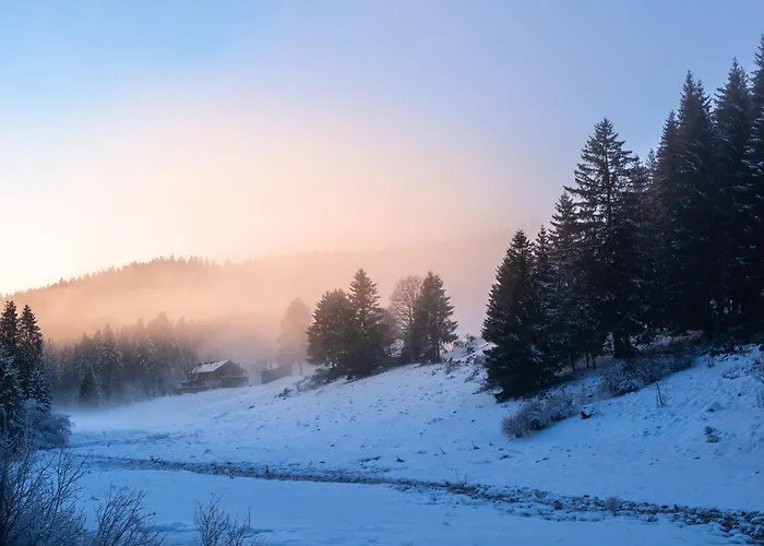 La Ramee Ban-sur-Meurthe-Clefcy